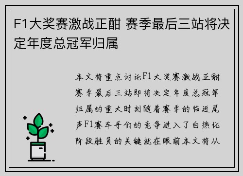 F1大奖赛激战正酣 赛季最后三站将决定年度总冠军归属