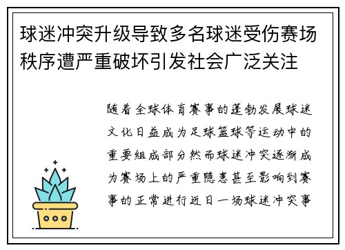 球迷冲突升级导致多名球迷受伤赛场秩序遭严重破坏引发社会广泛关注