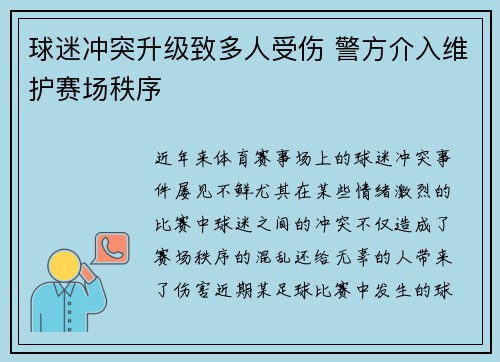 球迷冲突升级致多人受伤 警方介入维护赛场秩序